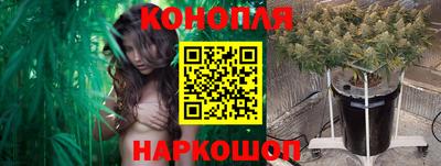 стафф Краснокаменск