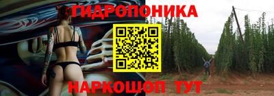 гидропоника Краснознаменск