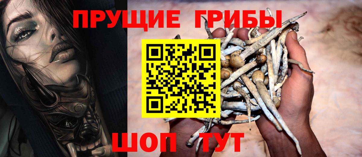 Псилоцибиновые грибы Cubensis  Вход с VPN  Евпатория  Псилоцибиновые грибы Psilocybe 